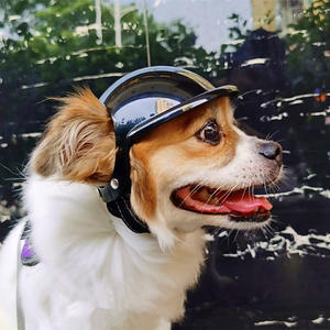 새로운 애완 동물 헬멧-개와 고양이를위한 오토바이 안전 모자-애완 동물 액세서리 및 장난감-도매 공장 직매 - Product Image 1