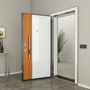 Porte d'entrée en métal contemporaine SFA-113, porte extérieure antivol - Product Image 1