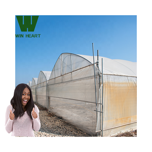 Lớn hai lớp PE Khung nhà kính poly-đường hầm cho công nghiệp rau phát triển đa-span thiết kế - Product Image 2