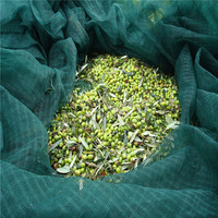 Filet de récolte d'olives en HDPE durable, exporté vers la Tunisie