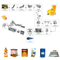 Geavanceerde, eenvoudig te bedienen, hoog-efficiënte automatische mango-sap- en puree-productielijn, turnkey plant