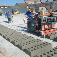 Petite Machine de Production de Briques Pondantes en Béton, Moulage de Blocs de Ciment, Prix en Malaisie