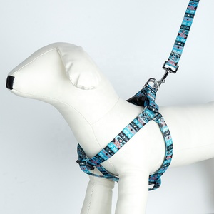 Productos populares para mascotas, collares de entrenamiento, correa para amigos, arnés para perros, conjunto de Collar, correa de nailon, conjunto de arnés para perros - Product Image 4