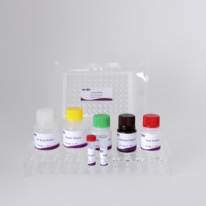 Kit de prueba de anticuerpos cELISA Babesia original para diagnóstico veterinario (96T/Kit) con alta sensibilidad - Product Image 6