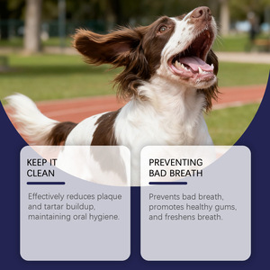 สเปรย์ดูแลช่องปากสัตว์เลี้ยงออร์แกนิค 100 มล. ไม่ต้องล้างออก ลมหายใจสดชื่น ทำความสะอาดฟัน อ่อนโยนต่อสัตว์เลี้ยง ใช้ได้กับสัตว์เลี้ยงหลายชนิด ขายส่งจากโรงงานโดยตรง - Product Image 2