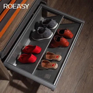 ROEASY Modern tasarım 2 katmanlı dolap için sürgülü dolap aksesuarları ayakkabı raf çekin