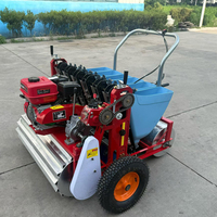 Machine agricole à essence pour la plantation d'ail, avec réglage de la distance entre les rangs et entre les semences, équipement de semis d'ail multi-rangs personnalisable