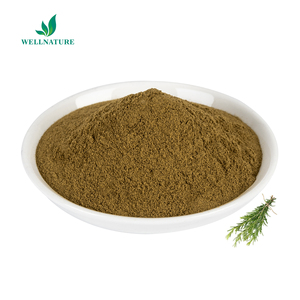Polvo de extracto de <span class=keywords><strong>Romero</strong></span> Extracto de <span class=keywords><strong>Romero</strong></span> de alta calidad Ácido rosmarínico 35% Extracto de <span class=keywords><strong>Romero</strong></span> Venta de fábrica directa de alta calidad - Product Image 3