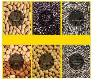 Presse à huile commerciale haute performance pour l'extraction d'huile d'olive, d'huile d'avocat et de graines de chanvre - Product Image 6