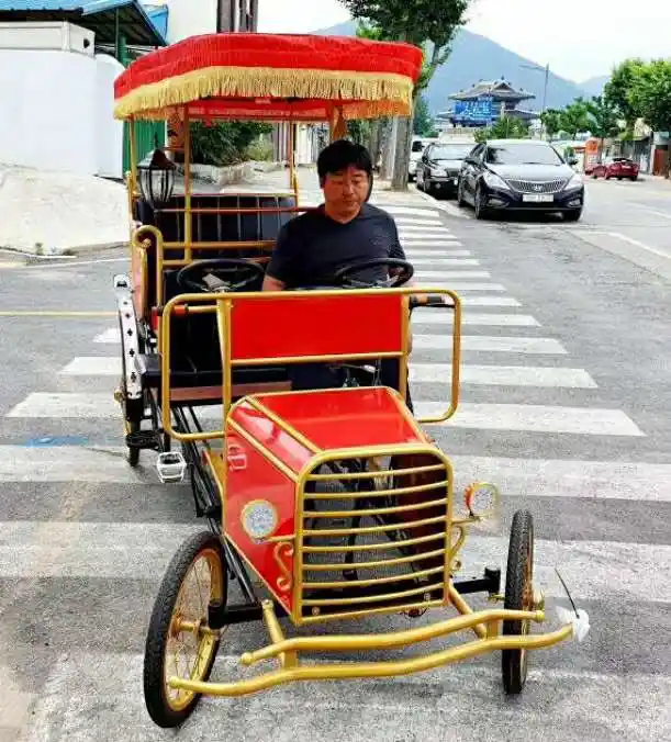 Туристический пассажирский Электрический рикша, цена