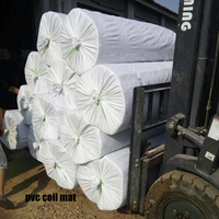Pied d'entrée antibactérien facile à nettoyer grattoir à chaussures conception de bobine PVC rouleau tapis/PVC boucle nouilles porte coussin spaghetti tapis