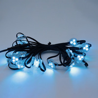 Lampes LED RGB étanches pour extérieur, adressables et programmables, pour l'éclairage paysager et architectural