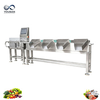 YOUBAN Automatische Weeg- en Sorteermachine voor Fruit, Groenten, Zeevruchten, Vis, Kersen, Bosbessen, Oesters en Garnalen