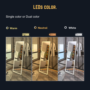 LED Full Body Smart Mirror Touch Sensor Switch Silver Aluminum Lenses for Living Room Gym Bedroom Hotel Hall Salon Storage Stand - Product Image 5