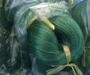 Nhà Cung Cấp Trung Quốc Cá Mang Lưới <span class=keywords><strong>Nylon</strong></span> Monofilament <span class=keywords><strong>Nylon</strong></span> Lưới Đánh Cá Giá - Product Image 1