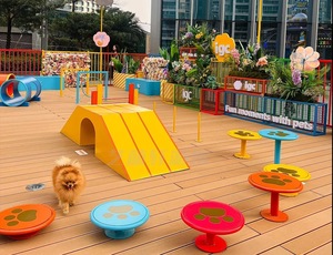 Custom Large Outdoor <strong>Pet</strong> Playground Equipment for Commercial Mall <strong>Dog</strong> <strong>Park</strong> Agility Slide Manufacturer - Product Image 2