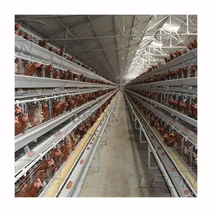 Équipement de volaille automatique à bas prix Cage de poulets de couche de type A