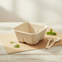 Boîte à lunch moderne TEANHE en bagasse biodégradable et écologique de 500 ml avec couvercle, idéale pour les restaurants et le camping