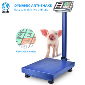 2025 제조 중국 산업 전자 스케일 디지털 TCS 플랫폼 저울 베이커리 및 밀가루 밀 150kg 200kg 300kg - Product Image 5