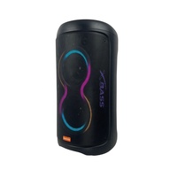 Enceinte karaoké double 6,5 pouces avec microphone sans fil, batterie rechargeable intégrée 60W, lumières LED RGB pour utilisation en extérieur et en soirée