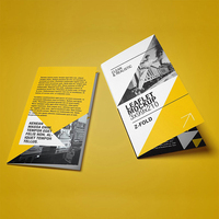 Impression offset de livrets, dépliants, brochures et prospectus personnalisés en gros avec laminage de film pliable