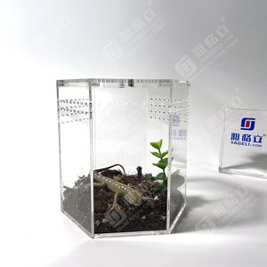 Yageli, fournisseur chinois, vente en gros, enclos pour reptiles en acrylique transparent hexagonal personnalisé, pour tarantules, uniquement pour l'exposition - Product Image 4