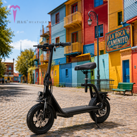Trottinette électrique durable 500W 48V avec batterie au lithium et panier TC-ES001, pliable, moteur sans balais tout-terrain 12 pouces