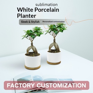 <span class=keywords><strong>Petit</strong></span> <span class=keywords><strong>pot</strong></span> à fleurs en porcelaine blanche céramique vierge pour sublimation, idéal pour plantes succulentes, décoration de bureau, pour personnalisation DIY avec photo ou logo. - Product Image 6