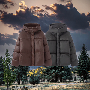 Veste décontractée chaude pour femme, printemps 2026, en polyester tissé respirant, épaisse, à capuche, col mandarin, avec détails boutonnés et fermeture éclair rétro - Product Image 3