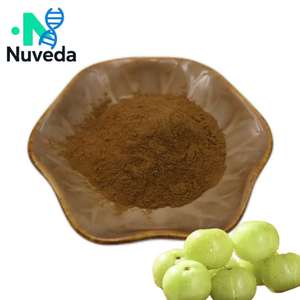 Nuveda 100% натуральный экстракт амлы порошок Органический Фруктовый Порошок - Product Image 1