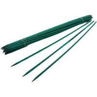Tuteur de plante moderne en bambou vert anti-chute avec support fixe pour usage intérieur/extérieur, pour la fixation des fleurs et des arbres à monnaie, tuteur simple