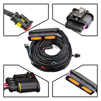 Kits ECU à 6 cylindres pour conversion GPL/GNC de voitures, stables et durables, GPL GNC 256