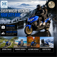 Scooter/cyclomoteur à essence 150cc quatre temps refroidi par eau EURO 5, démarrage sans clé Bosch EFI, double frein ABS, vitesse 95 km/h pour autoroute/urbain