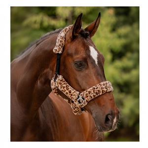 Cabestro de Lujo para Caballo, Acolchado con Piel Sintética de Alta Calidad, Color Marrón, Forro Polar Suave, Ajustable, de Nailon, para el Cuidado del Caballo. - Product Image 1