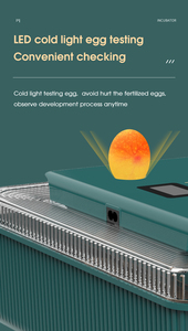 WONEGG Haute Qualité Nouveau <span class=keywords><strong>25</strong></span> Large Usage Plateau À <span class=keywords><strong>Oeufs</strong></span> Incubateur Automatique Pour <span class=keywords><strong>Oeufs</strong></span> - Product Image 2