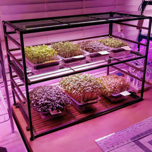 Barre de lumière LED pour plantes d'intérieur à haut rendement pour légumes et fleurs, spectre complet LM281 660nm15W 90cm 2ft T5 T8, floraison des plantes - Product Image 5