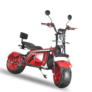 2023 New Arrival Europe Stock EEC Fat Tire Cooper Electric Motorcycle Electric Scooter Citycoco