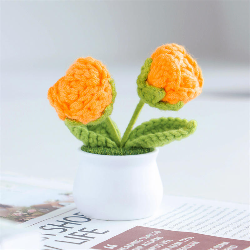 2หัวสีส้มกุหลาบ