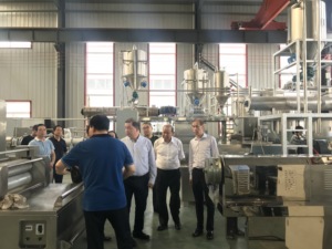 Máquina extrusora de copos de maíz para desayuno, máquina de producción de <span class=keywords><strong>cereales</strong></span> y aperitivos, 200 kg/h - Product Image 6
