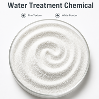 Chlorure de polyaluminium en poudre blanche PAC 30% faible teneur en métaux lourds pour l'eau potable