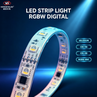 Bande LED RGBW CCT adressable SPI, programmable, à pixels, 5050 24V, en cuivre, pour éclairage architectural intelligent