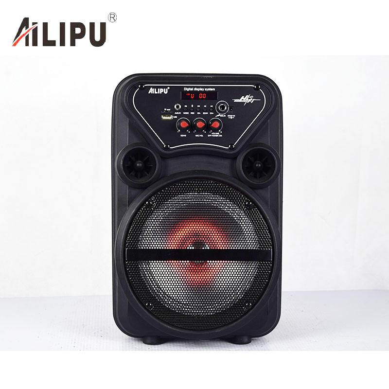 Multimedia Alexa Echo Dot Boombox Inch Sound Box Outdoor Portable USB  FM TWS Radio Speaker