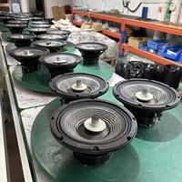 Haut-parleur de milieu de gamme 8 pouces HYW-865-003 300W AES, aimant néodyme, 8 ohms, 99 dB, haute sensibilité, avec suspensions en fibre de carbone