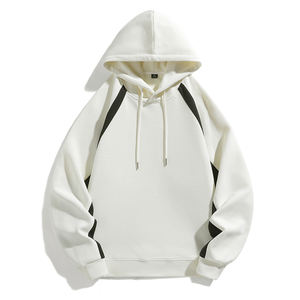 Sudadera con Capucha de Terciopelo de Corte Regular con Logotipo Personalizado, Otoño, ODM, Marca de Moda Transfronteriza, Spandex/Poliéster 200g, Cómoda - Product Image 2