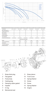 Kosten günstige Yinjia 3HGM-13 Diesel pumpe Hochwertige Moto pompe Transfer Bombas De Agua Benzin Wasserpumpe für die Landwirtschaft - Product Image 4