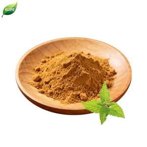 Klife Hoge Kwaliteit Oridonine <span class=keywords><strong>Rabdosia</strong></span> Rubescens <span class=keywords><strong>Extract</strong></span> Poeder - Product Image 2