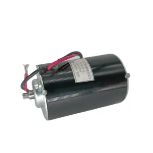 Low Noise 100W 230V 50/60Hz Vibrator Micro Motor 24V DC Motor for Massar and Rolling for OEM ODM from China Factory
