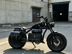 Cafe Racer Electric Bike for Adults - Vintage Ebike Style with 3000w Hub Motor, Electric Bicycle, Motor Bike and Version
