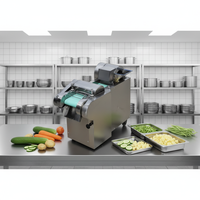Efficiënte gemotoriseerde tomaten snijmachine, mandoline, bonen-, aardappel-, fruit- en groentesnijder, -dicer, machine van 304 roestvrij staal
