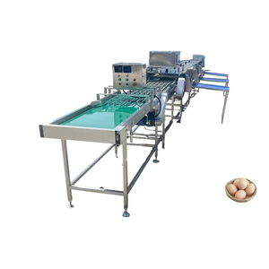 Egg Grading Machine Egg Cracking Detection Machine Egg Size Sorter - Product Image 5